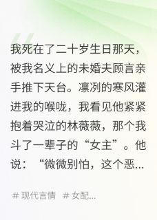 我,恶毒女配和反派HE了