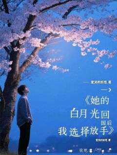 她的白月光回国后我选择放手