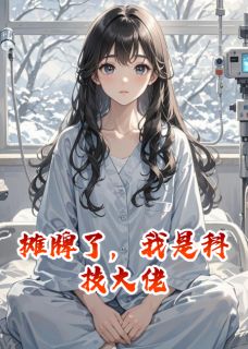 摊牌了,我是科技大佬