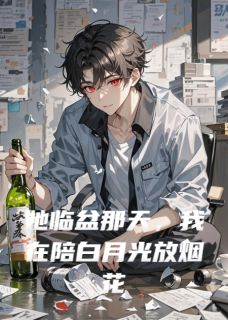 《她临盆那天，我在陪白月光放烟花》大结局精彩阅读 《她临盆那天，我在陪白月光放烟花》最新章节列表