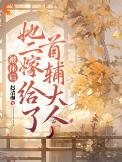 三年无子被休,如今双胎打脸前夫