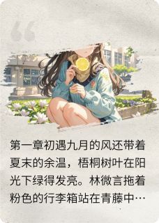 《我们那些年的青春》林微言江译大结局免费阅读