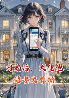 闪婚后,大佬他追妻火葬场