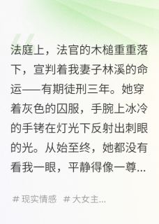 我亲手把卧底妻子送进了监狱林溪阿伟陈烨全本小说免费阅读