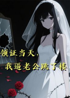 领证当天,我逼老公跳了楼