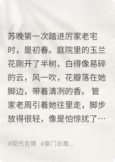 雾里看花,心上雪