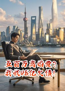 五百万离婚费?我收48亿欠债!