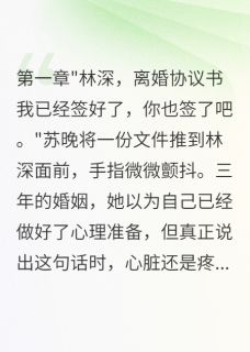 苏晚林深书名叫什么_他说从未爱过我