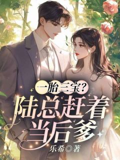 一胎三宝?陆总赶着当后爹