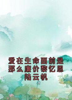 爱在生命面前是那么廉价黎忆恩陆云帆