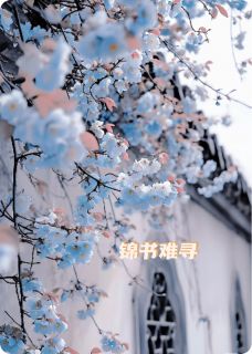 锦书难寻亦有托