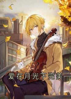 爱在月光下完美