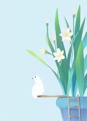 重生后我靠玄学爆红全网