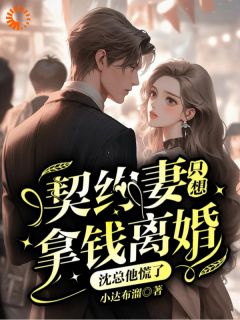 契约妻只想拿钱离婚,沈总他慌了