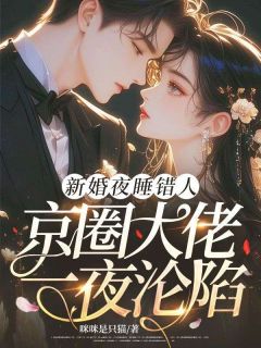 新婚夜睡错人，京圈大佬一夜沦陷