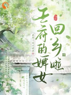 王府的婢女回乡啦