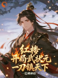 红楼:开局武状元,一刀镇天下