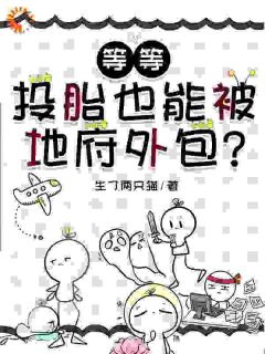 这个公司有点怪，同事说我像个人？