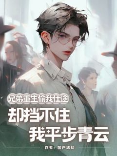 兄弟重生偷我仕途,却挡不住我平步青云江辰李曼by笛声悠扬在线阅读