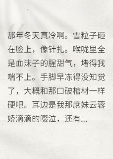 重生后，我成了病娇王爷的掌心娇傅砚知宋青云陆七小说全文阅读