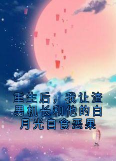 重生后,我让渣男机长和他的白月光自食恶果