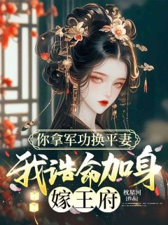 你拿军功换平妻,我诰命加身嫁王府