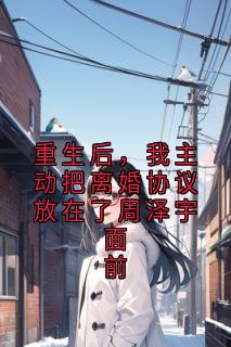 重生后,我主动把离婚协议放在了周泽宇面前