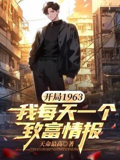 开局1963,我每天一个致富情报