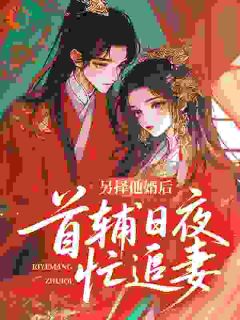 另择他婿后,首辅日夜忙追妻