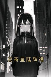 夏寄星陆辉褚