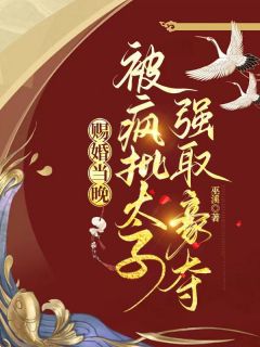 请旨另嫁后,温润殿下人设彻底崩了