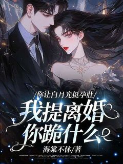 你让白月光挺孕肚，我提离婚你跪什么
