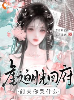 虐文白月光回府,前夫你哭什么