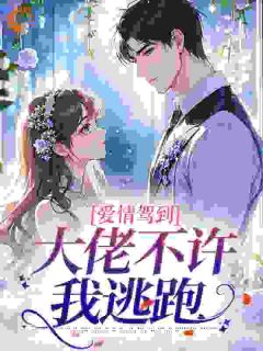 爱情驾到,大佬不许我逃跑