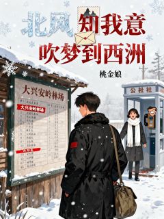 北风知我意,吹梦到西洲