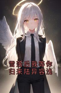 雪落后我等你归来陆异容浅