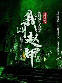 我叫赵甲,讲讲我盗过的古墓