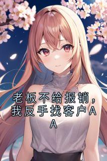 老板不给报销，我反手找客户AA