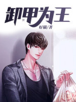 《卸甲为王》小说全文精彩阅读 陈飞乔雅小说阅读