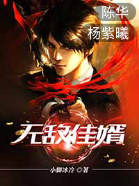 无敌佳婿完整小说目录在线阅读 (陈华杨紫曦) 大结局无弹窗