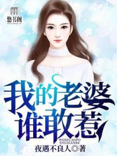 《我的老婆谁敢惹》陈亮沈初夏免费试读