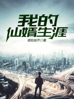 我的仙婿生涯全章节免费免费试读 陈落少司幽小说完结版