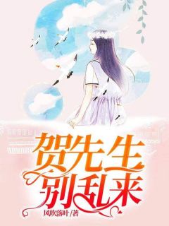 《贺先生别乱来》小说在线试读 《贺先生别乱来》最新章节列表