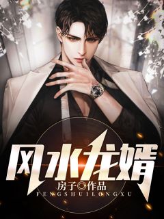 《风水龙婿》小说章节列表在线试读 叶辰李子柒小说全文