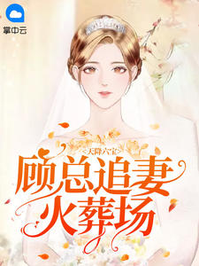 天降六宝:顾总追妻火葬场