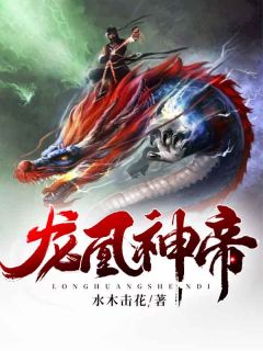 龙凰神帝叶倾寒龙十小说精彩章节免费试读