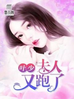 叶少,夫人又跑了