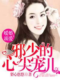 暖婚溺爱：邪少的心尖宠儿霍晏琛陆向暖免费在线免费试读