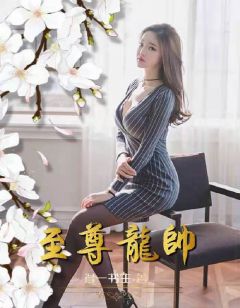 叶辰雪儿章节目录 《至尊龙帅》全文阅读