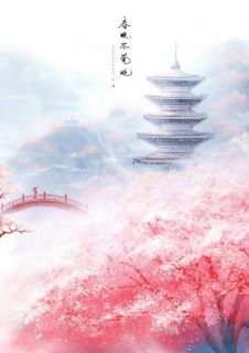 《弃后的独宠》小说大结局在线阅读 沈良辰萧湛小说阅读